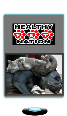 Healthy Pet Nation